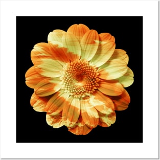 Golden Waves Flower Posters and Art